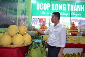 Hỗ trợ nông sản lên sàn thương mại điện tử