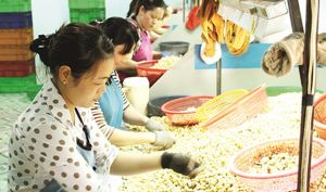 ​Nhiều mặt hàng nông sản đạt kim ngạch xuất khẩu tăng