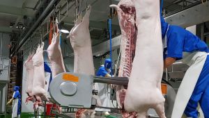 Dofico sẽ cung cấp thực phẩm cho người dân 10 phường của TP.Biên Hòa và 3 địa phương khác