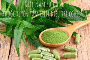 Quản lý thị trường thuốc trong đại dịch