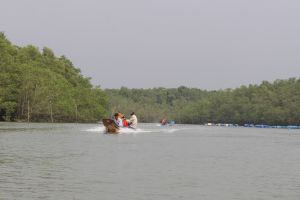 Phát triển hệ sinh thái rừng