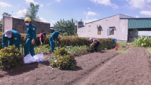 Huyện Thống Nhất phục hồi sản xuất kinh tế