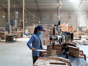 Khó lường khi dịch bệnh ảnh hưởng đến sản xuất