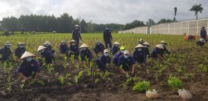 Giảm tái nghiện, tăng tái hòa nhập cộng đồng