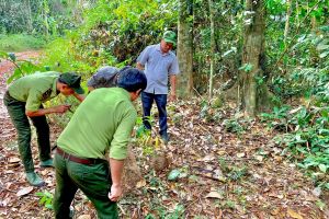 Nuôi động vật hoang dã dễ gặp rủi ro