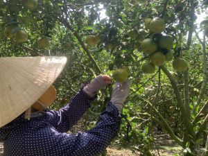 Chú trọng tiêu chí thu nhập cho người dân nông thôn