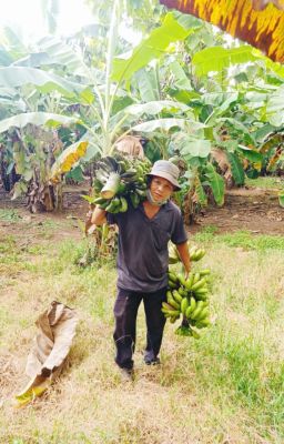 Tích cực góp sức cho công tác phòng chống dịch bệnh Covid-19