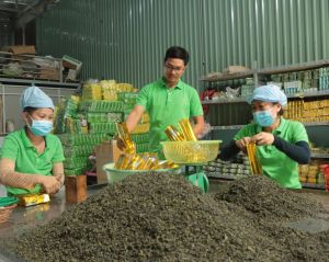 Giúp doanh nghiệp giải quyết các khó khăn do dịch bệnh