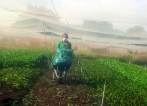 Chủ động nguồn nguyên liệu, hàng hóa tại địa phương