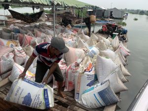 Lưu thông vật tư nông nghiệp còn nhiều vướng mắc