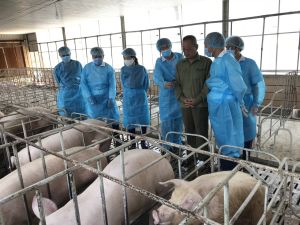 Nông dân cần tiếp sức