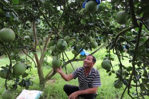 Sản xuất nông nghiệp đối mặt nhiều khó khăn