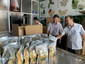 Hợp tác xã xuất khẩu tốt trong khó khăn