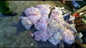 Phát hiện cả tấn mỡ heo, thịt gia súc không rõ nguồn gốc