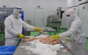 Gần 60 doanh nghiệp đăng ký mới, bổ sung lao động lưu trú tại công ty