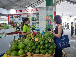 Thúc đẩy chương trình khởi nghiệp ở Đồng Nai