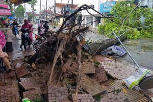 Phòng, chống thiên tai vào cao điểm mưa lũ trong bối cảnh dịch Covid-19