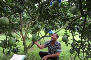 Nông dân thu hoạch nông, lâm, thủy sản được xét cấp giấy đi đường không tính theo vùng