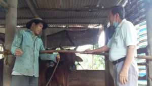 Trợ thủ đắc lực trong thực hiện tín dụng chính sách