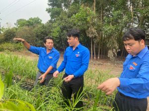 “Thủ lĩnh” thanh niên năng nổ