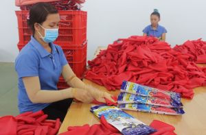 Kiến nghị nhiều vấn đề với Chính phủ nhằm đẩy nhanh phục hồi sản xuất