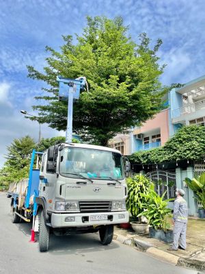 Chuyện về những người “chăm sóc” thành phố