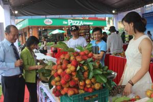 Hoàn thành tốt tiêu chí hợp tác xã nông thôn mới