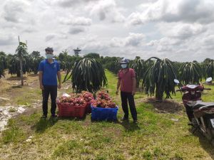 Giúp nông dân tiêu thụ nông sản