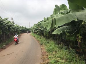 Thêm 5 xã được công nhận đạt chuẩn nông thôn mới nâng cao
