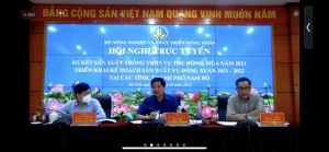 Vụ đông xuân 2021-2022, xuống giống sớm để né hạn, mặn