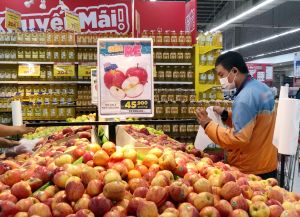 Đa dạng các dịch vụ “đi chợ hộ” qua app