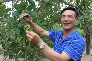 Tìm giải pháp giảm giá thành sảnh xuất nông nghiệp