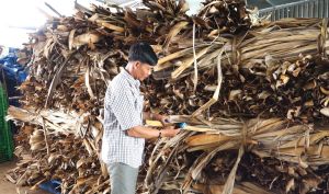 ​Nông dân làm bẹ cuối xuất khẩu