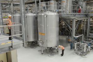 Nestlé Việt Nam tăng gấp đôi công suất chế biến cà phê cho thị trường trong nước và xuất khẩu