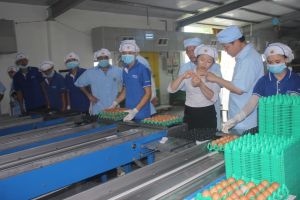 Tăng lợi thế cạnh tranh cho trứng nội