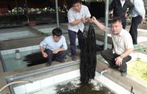 Tổ chức 196 lớp tập huấn, hội thảo cho nông dân