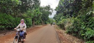 Ngăn xé nhỏ đất nông nghiệp để xây dựng trái phép