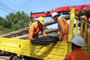 Điện lực Đồng Nai: Nỗ lực thực hiện “mục tiêu kép”