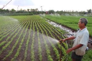 Nông nghiệp Đồng Nai đạt mức tăng trưởng cao so với cả nước