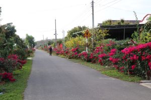 Vượt khó trong xây dựng nông thôn mới