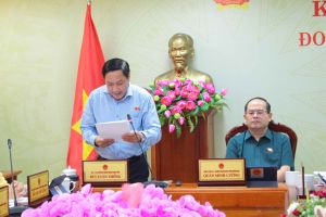 Đoàn đại biểu Quốc hội tỉnh thảo luận cơ chế, chính sách đặc thù phát triển 4 tỉnh, thành phố