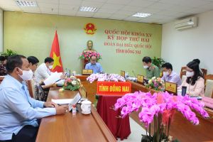 Tích cực đóng góp cho công tác xây dựng pháp luật