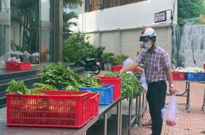 Từ đầu tháng 11-2021, các điểm bán hàng bình ổn giá của 3 tổng công ty sẽ dừng triển khai