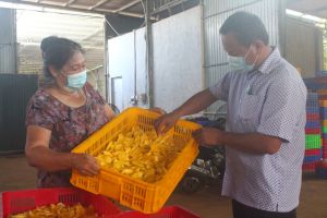 Xây kho lạnh bảo quản nông sản