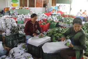 Trung Quốc không còn là thị trường dễ tính với nông sản