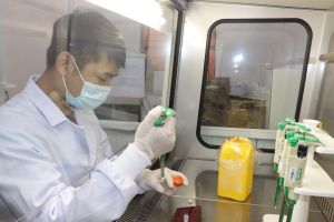 Ghi nhận gần 240 ca nhiễm Covid-19 cộng đồng mới trong ngày