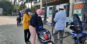 Cước vận tải làm tăng thêm khó khăn cho doanh nghiệp xuất khẩu