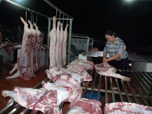 Chăn nuôi theo nhu cầu thị trường