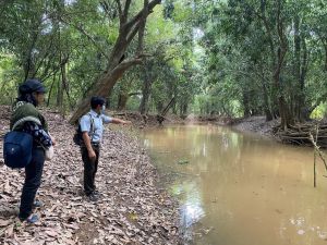 Rừng Đại Phong Tử điểm du lịch mới hấp dẫn