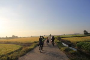 Xu hướng du lịch dân dã kết hợp trải nghiệm sinh thái